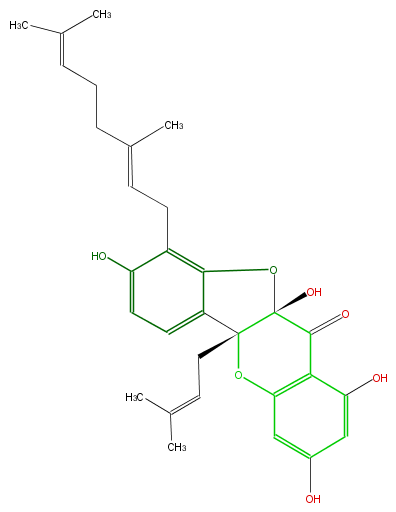 FL4DRNNI0004.png