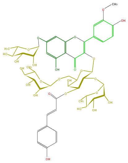 FL5FADGS0033.png
