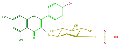 FL5FAAGLS002.png