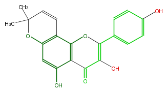 FL5FAANP0002.png