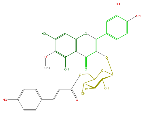 FL5FECGS0055.png