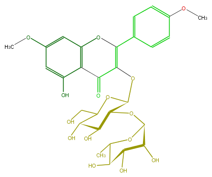 FL5FCBGS0001.png