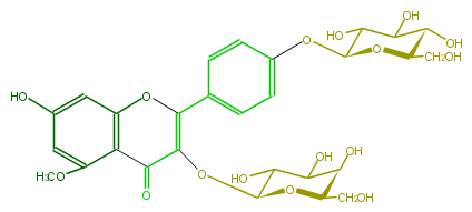FL5FBAGA0002.png