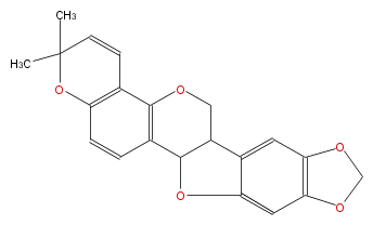 FLID1CNP0002.png