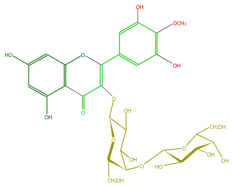 FL5FAJGA0001.png