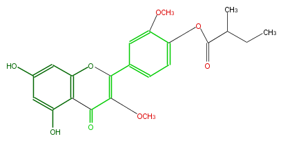 FL5FDDNI0001.png