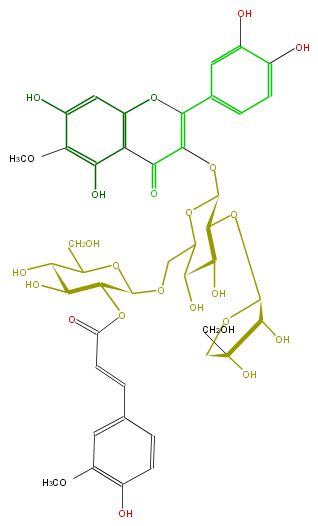 FL5FECGS0059.png