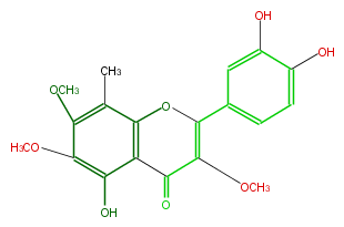 FL5FECNM0001.png