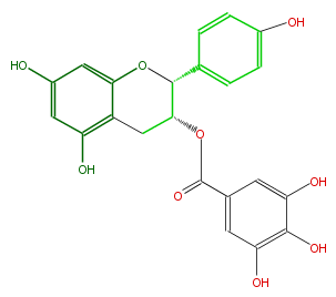 FL63AANS0004.png