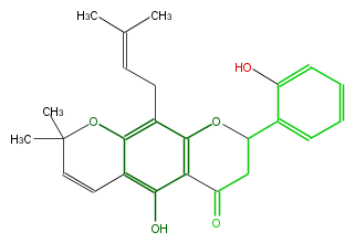 FL2FA8NP0001.png
