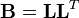 \mathbf{B}=\mathbf{L}\mathbf{L}^T