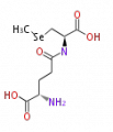 Thumbnail for version as of 17:05, 11 June 2010