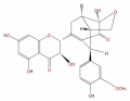 Thumbnail for version as of 17:02, 1 February 2008