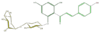 FL1CAAGS0006.png