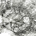 Thumbnail for version as of 22:06, 10 November 2010