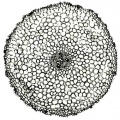 Thumbnail for version as of 12:14, 1 December 2010
