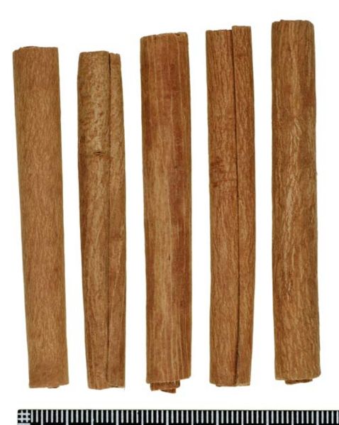 File:Tochimoto-Cinnamon-ケイヒ-広西-桂心条-03.jpg