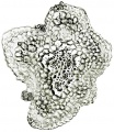 Thumbnail for version as of 12:14, 1 December 2010