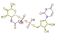 Thumbnail for version as of 16:37, 19 June 2009
