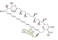 Thumbnail for version as of 19:22, 29 March 2010