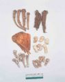 Thumbnail for version as of 09:47, 26 January 2010