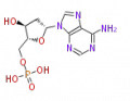 Thumbnail for version as of 10:25, 23 December 2009