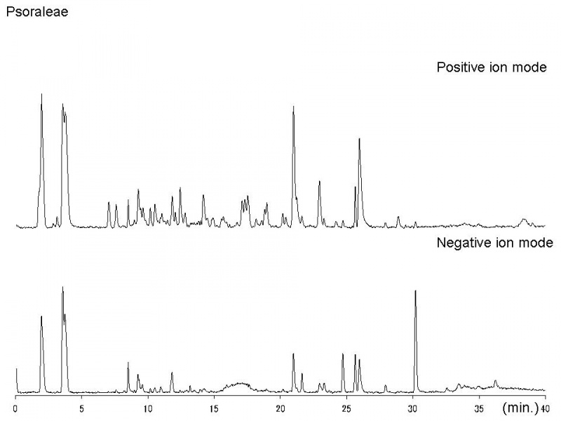 File:Psoraleae LC-MS.jpg