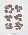 Thumbnail for version as of 09:44, 26 January 2010