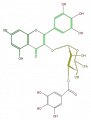 Thumbnail for version as of 17:02, 1 February 2008
