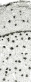 Thumbnail for version as of 22:06, 10 November 2010