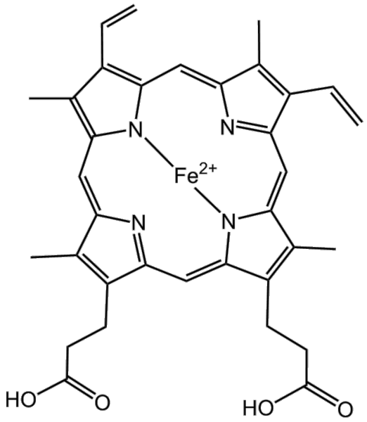 File:BMCCPPHM.png