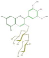 FL7AAIGL0024.png