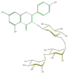 FL5FAAGL0025.png