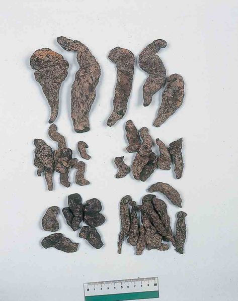 File:Alps:Rehmanniae Radix.jpg