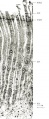 Thumbnail for version as of 16:38, 29 November 2010