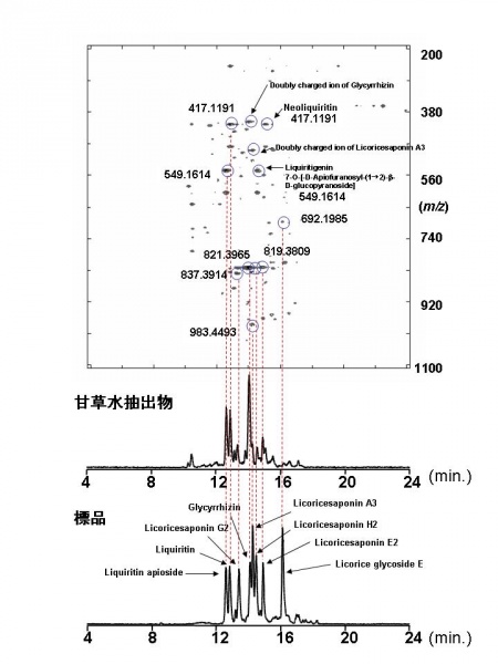 File:Alps:Glycyrrhizae Radix LC1.jpg