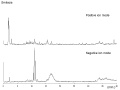 Thumbnail for version as of 11:36, 7 February 2011