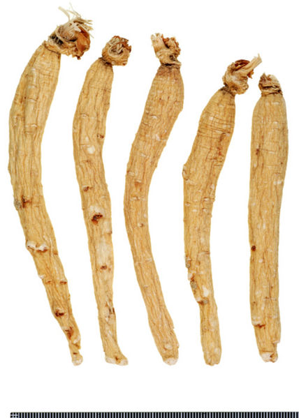 File:Tochimoto-Ginseng-ニンジン-韓国-生干人参(皮直参・75根)-(保存サンプル・寝)-03.jpg