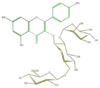 FL5FAAGL0031.png
