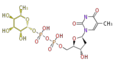 Thumbnail for version as of 16:36, 19 June 2009
