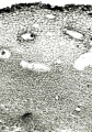 Thumbnail for version as of 22:05, 10 November 2010