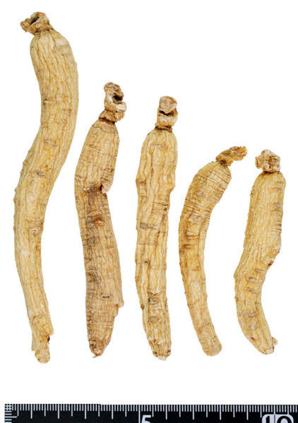 File:Tochimoto-Ginseng-ニンジン-白参-(美康)-03.jpg