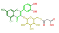 Thumbnail for version as of 10:35, 23 December 2009