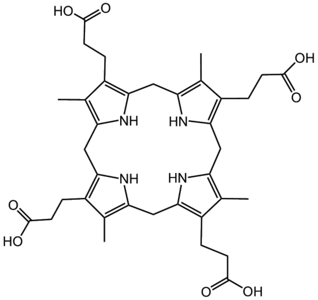 File:BMCCPPPR.png