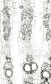 Thumbnail for version as of 12:14, 1 December 2010