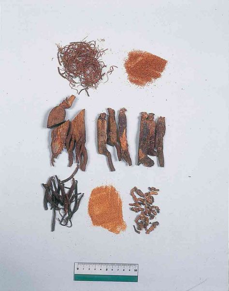 File:Alps:Ginseng Radix Rubra3.jpg