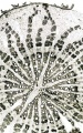 Thumbnail for version as of 12:14, 1 December 2010