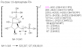 Thumbnail for version as of 14:11, 1 June 2011