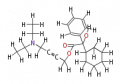 Thumbnail for version as of 20:47, 21 February 2011