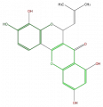 Thumbnail for version as of 17:02, 1 February 2008